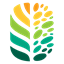 On With Life logo