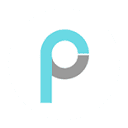 pony.ai logo